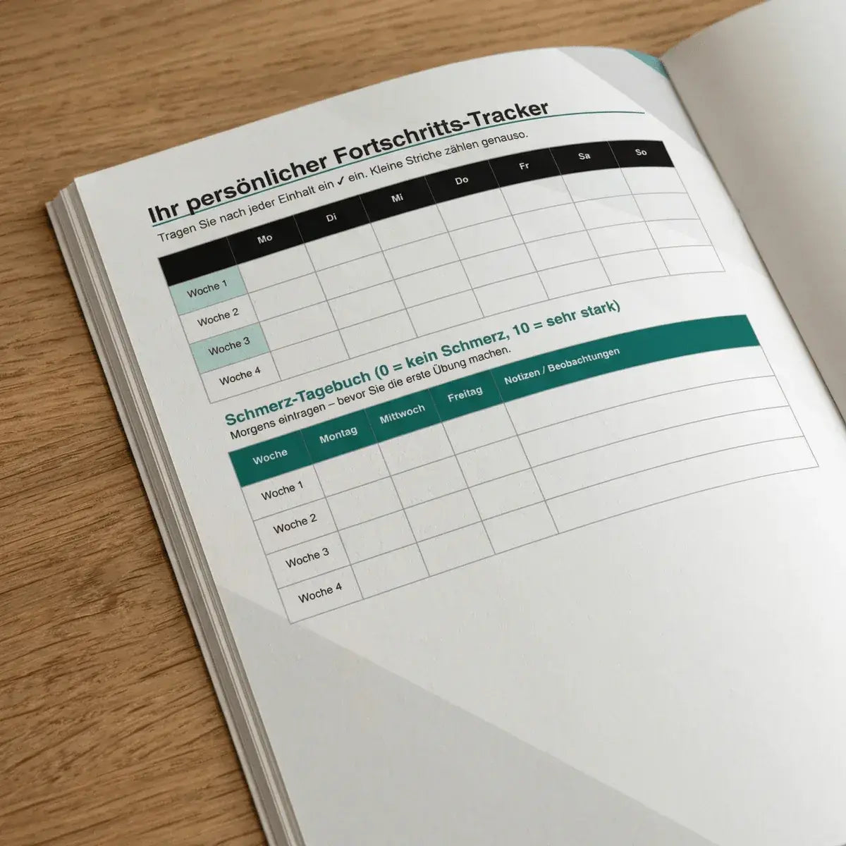 MyActiveCare – Der Knie Stabilitäts - Guide™ - MyActiveCare